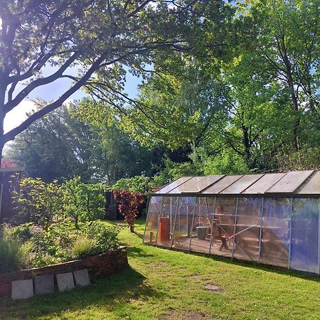 Tenthutje Buitenwedde Exteriör bild